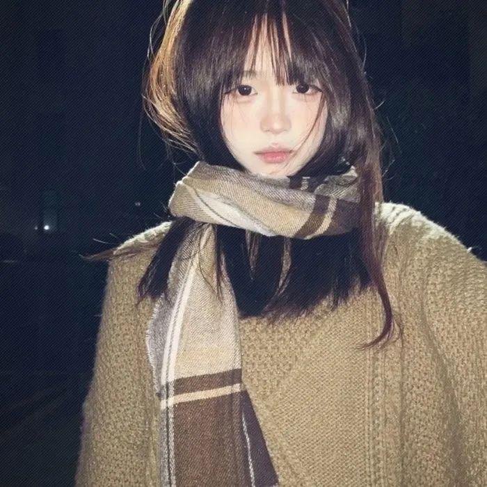 赘婿动画版