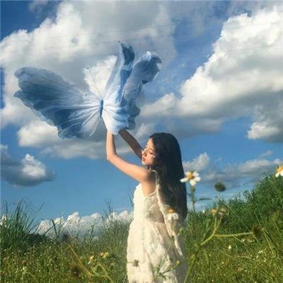 抚养亚利桑那